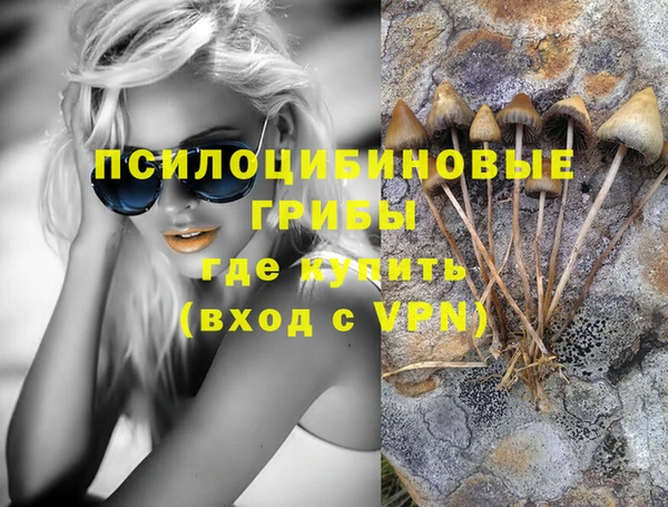 крисы Алзамай