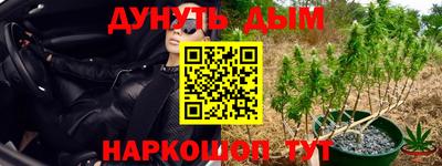 круглые Дубна
