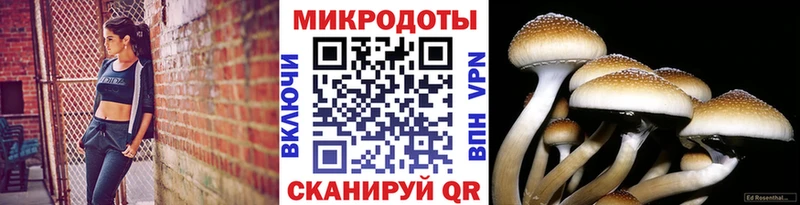 Псилоцибиновые грибы GOLDEN TEACHER  Глазов 