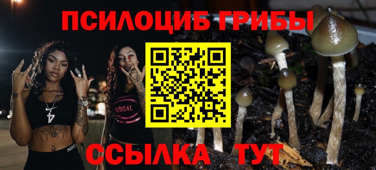Псилоцибиновые грибы мухоморы  Вход с VPN  Глазов 