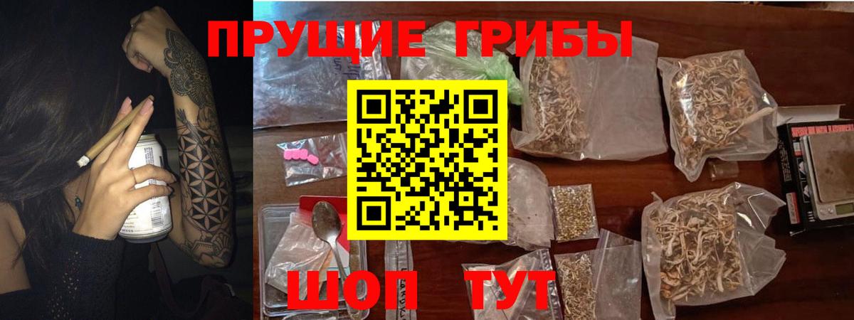 Галлюциногенные грибы Psilocybine cubensis  Псилоцибиновые грибы Psilocybine cubensis  Вход с VPN  цены наркотик  Глазов 